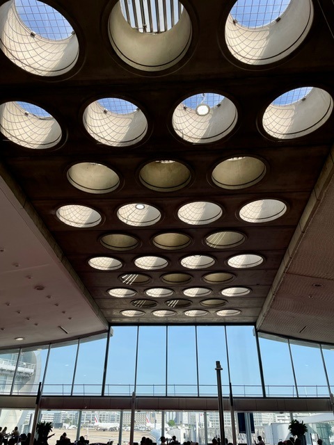 Charles de Gaulle Airport - roof domes
