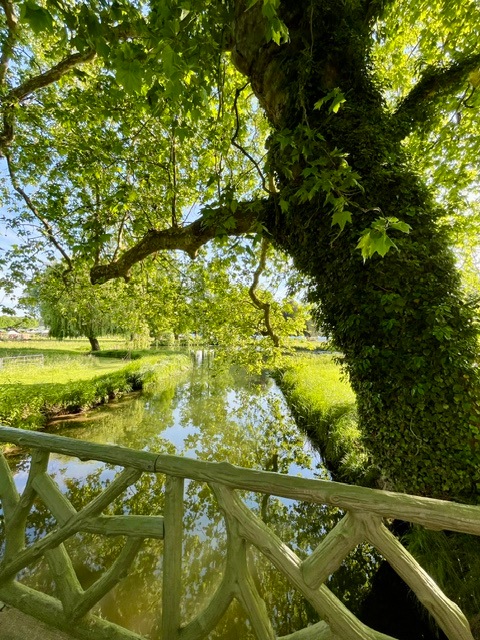 Peaceful river walk in the gardens at Chantilly Chateau in France