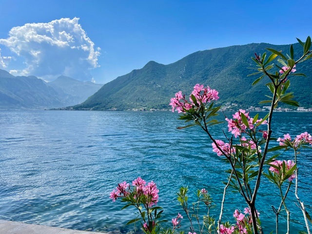 Coast along Budva Riviera, Montenegro